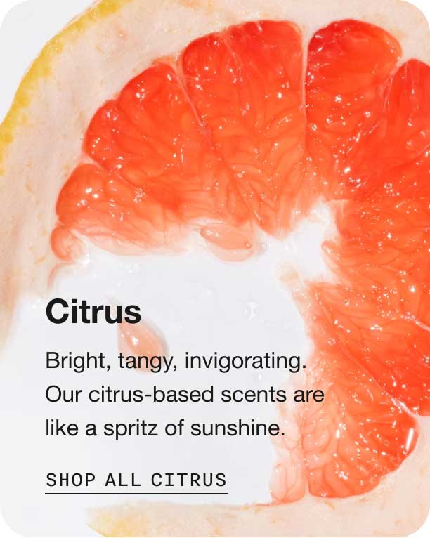 Citrus. Bright, tangy, invigorating.  Our citrus-based scents are like a spritz of sunshine. Shop All Citrus